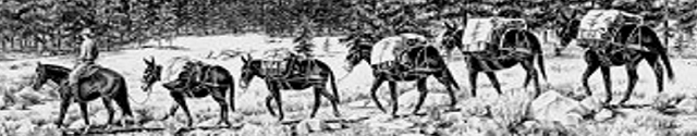 many, manties, custom pack horse, mule equipment